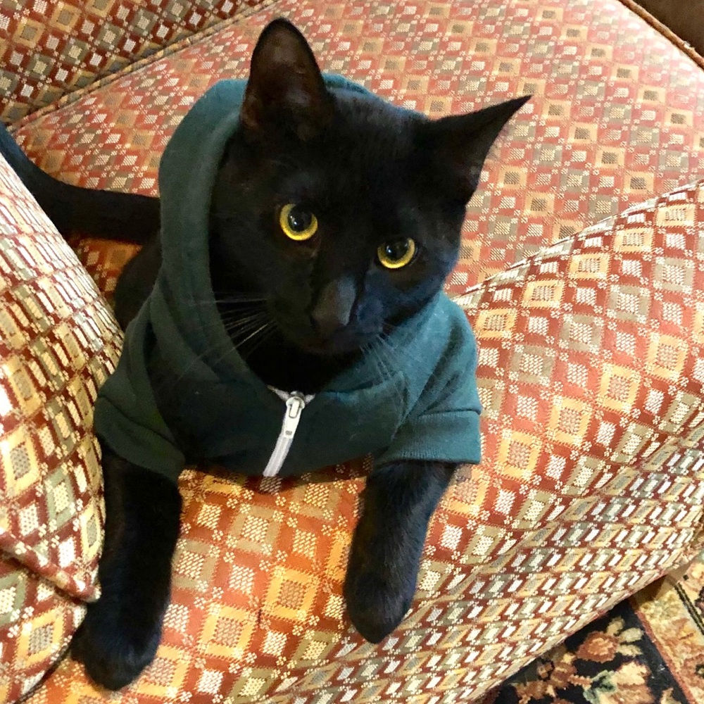 Meet your Posher, Meredith